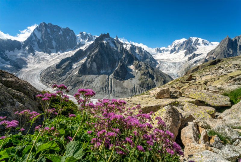Couvercle refugio vistas. Mer de glace